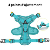 NO PULL HARNESS : Ensemble de harnais et laisse pour Chien