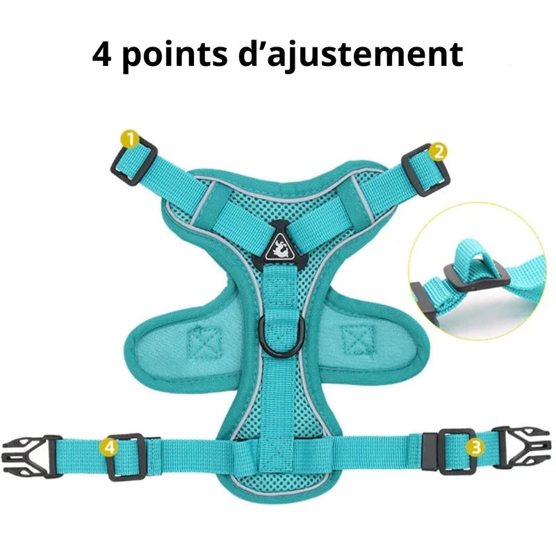 NO PULL HARNESS : Ensemble de harnais et laisse pour Chien