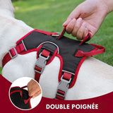 Harnais Chien Anti-traction - Anti-fugue, la Solution Ultime pour des Promenades Sereines - DUOMM NO PULL - PitouDoux