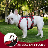 Harnais Chien Anti-traction - Anti-fugue, la Solution Ultime pour des Promenades Sereines -  DUOMM NO PULL