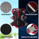 Harnais Chien Anti-traction - Anti-fugue, la Solution Ultime pour des Promenades Sereines -  DUOMM NO PULL