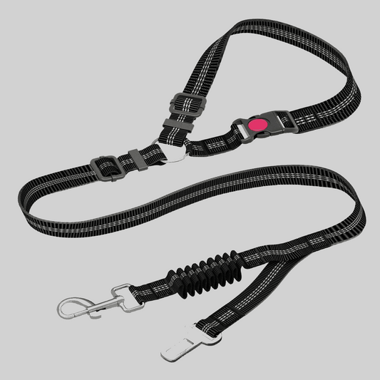 Ceinture anti-chocs pour chien en voiture couleur noir - PITOUDOUX