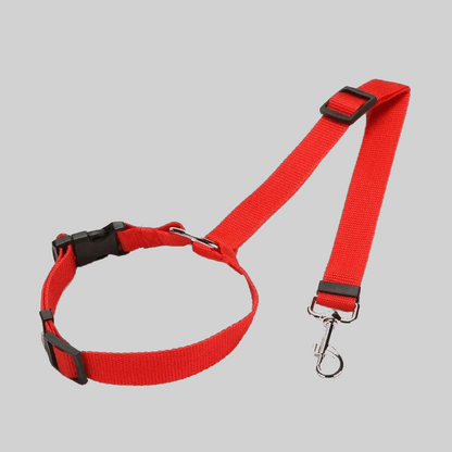 Ceinture de sécurité canine pour voiture rouge - PITOUDOUX