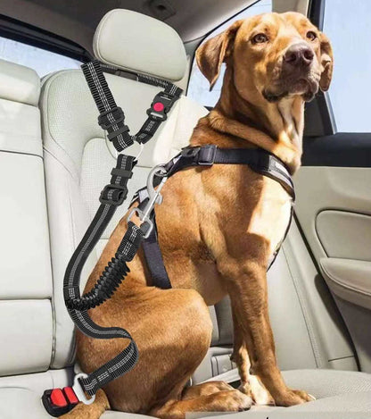 Ceinture de sécurité pour chien ajustable et résistante - Corde de traction pour chien en nylon rayé pour les voyages en voiture - PITOUDUX