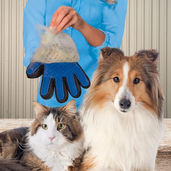 PET GLOVE-BRUSH : Gants, Brosse de toilettage pour chien, chat
