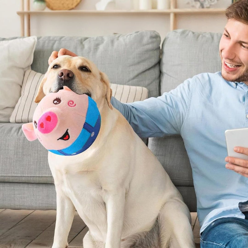 SMART BALLT™- Jouet en Peluche Interactif, chargeable USB – Compagnon Musical et Éducatif pour chien et chat - PitouDoux