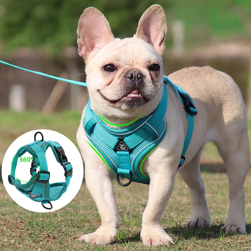 NO PULL HARNESS : Ensemble de harnais et laisse pour Chien