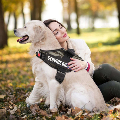 Harnais Personnalisé pour Gros chien - PITOUDOUX