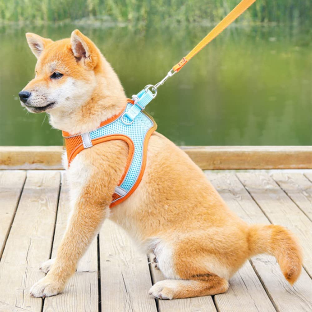 Ensemble Harnais anti-tirage pour chien + Laisse - PITOUDOUX