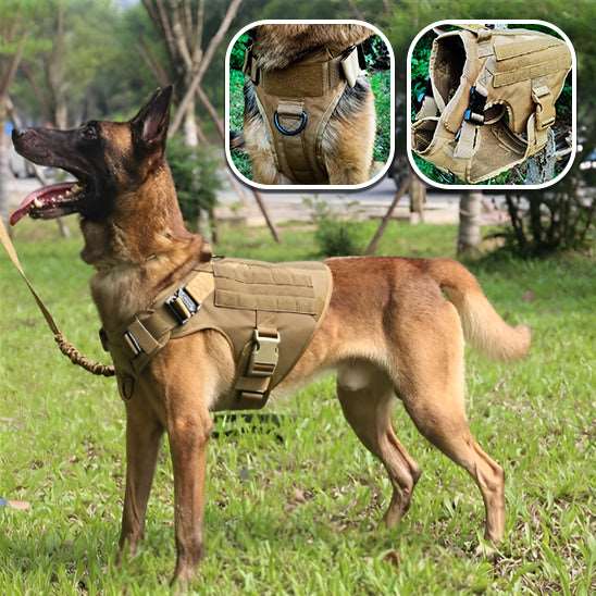 Harnais anti-traction militaire pour chien - PITOUDOUX