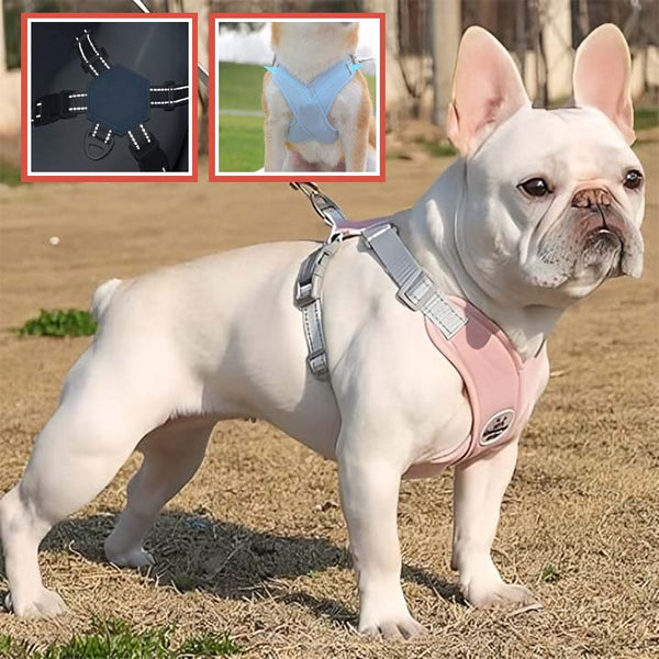 Harnais anti traction chien, avec laisse, en forme de X- X DUOMM PET™ - PitouDoux