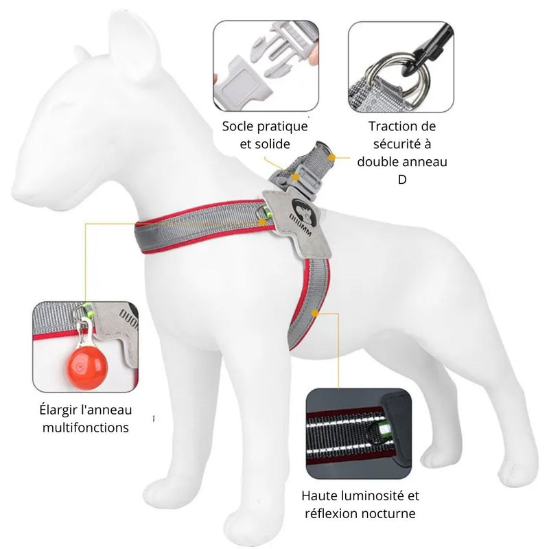 Harnais pour Chien anti-traction - en forme de Y - Confortable, Léger et Sécurisé I Y DUOMM - PitouDoux