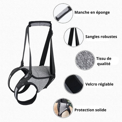 Harnais d'assistance pour chien: Manche en éponge
Sangles robustes
Tissu de qualité
Velcro réglable
Protection solide
- PITOUDOUX