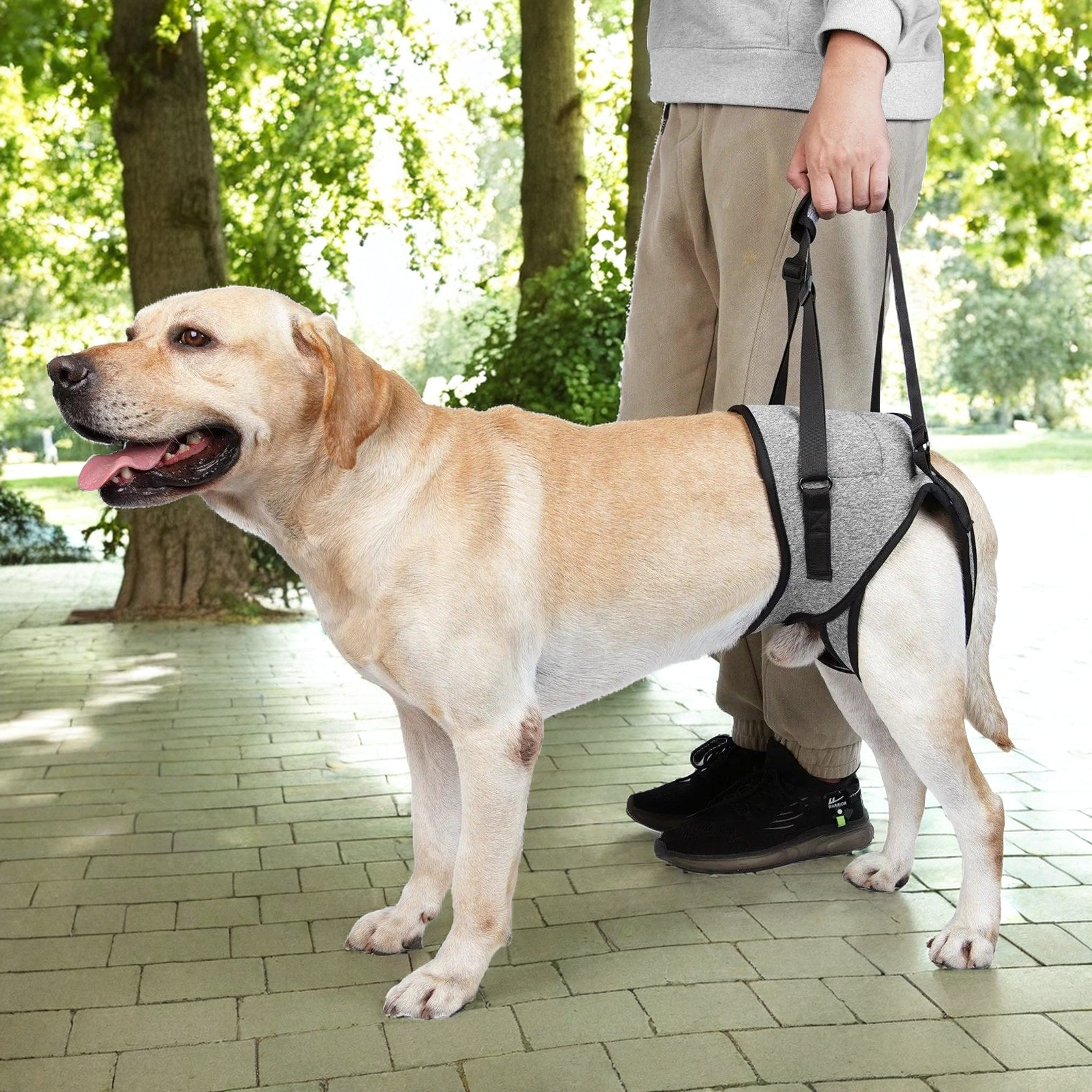 Harnais de levage pour chien âgé - PITOUDOUX