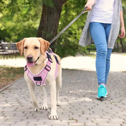 Harnais pour chien de travail - PITOUDOUX