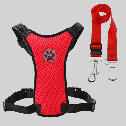 Harnais pour chien en voiture - Rouge - PITOUDOUX