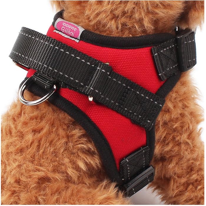 Harnais réglable anti-traction pour marche canine - PITOUDOUX