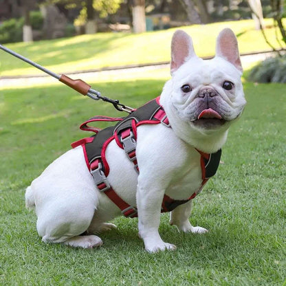 Harnais sécurisé sans traction pour chiens - PITOUDOUX