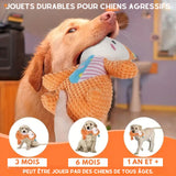 Jouet à mâcher pour chien - Resistant, en vélours côtelé, brosse à dents pour chiens I VELTOYS™ - PitouDoux