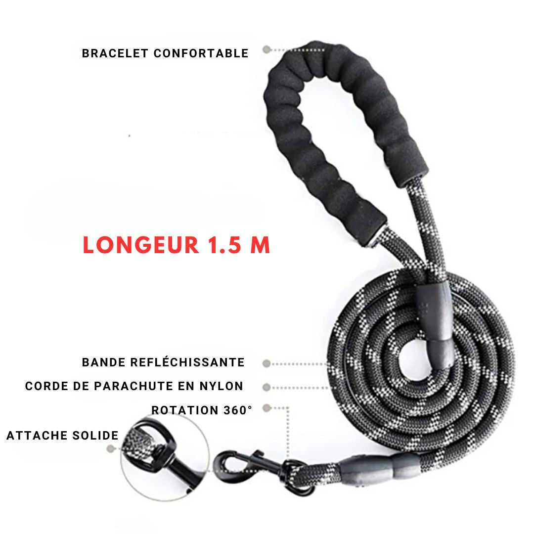 Laisse pour chien robuste caractéristique 1.5 m - PITOUDOUX