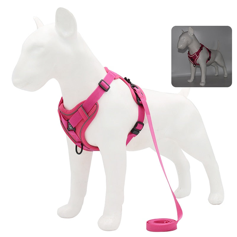 NO PULL HARNESS : Ensemble de harnais et laisse pour Chien - PitouDoux