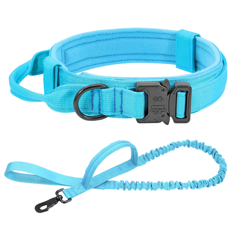 TACDOG - Collier de Chien, durable - PitouDoux