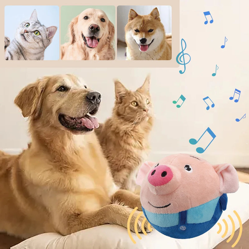 SMART BALLT™- Jouet en Peluche Interactif, chargeable USB – Compagnon Musical et Éducatif pour chien et chat - PitouDoux