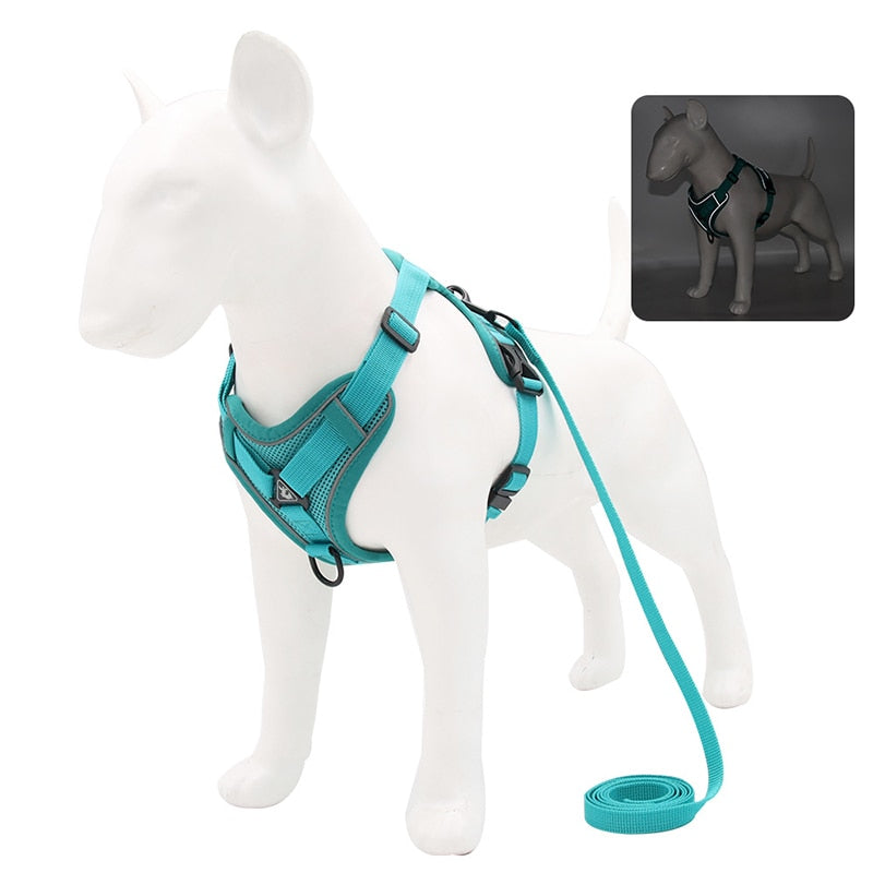 NO PULL HARNESS : Ensemble de harnais et laisse pour Chien - PitouDoux