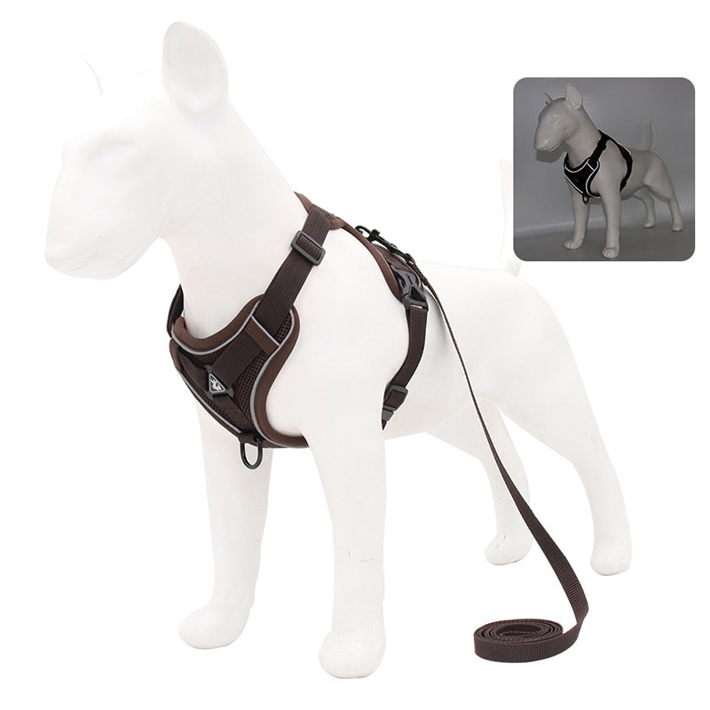 NO PULL HARNESS : Ensemble de harnais et laisse pour Chien - PitouDoux