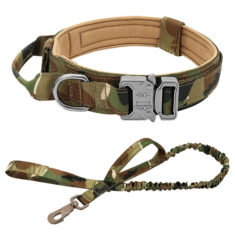 TACDOG - Collier de Chien, durable - PitouDoux