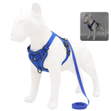 NO PULL HARNESS : Ensemble de harnais et laisse pour Chien - PitouDoux