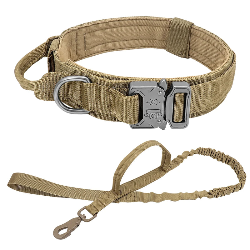 TACDOG - Collier de Chien, durable - PitouDoux