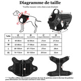 Harnais Laisse Chien: La Solution Ultime pour le Confort et la Sécurité de Votre Compagnon TACK9 - PitouDoux