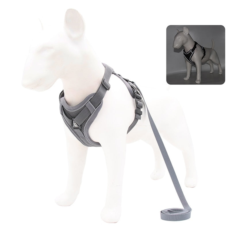 NO PULL HARNESS : Ensemble de harnais et laisse pour Chien - PitouDoux