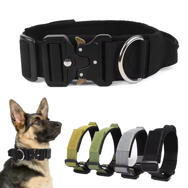 COLLIER DE DRESSAGE POUR CHIEN | TACDOG™ - PitouDoux