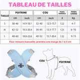 Harnais anti traction chien, avec laisse, en forme de X- X DUOMM PET™ - PitouDoux