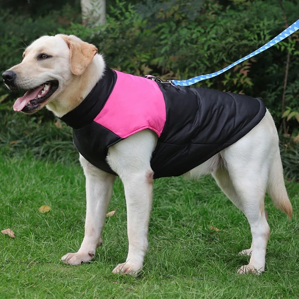 Manteau pour Chiens - Gilet pour chien - PARKASIO™ - PitouDoux