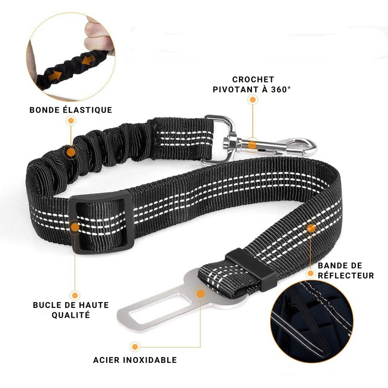 SAFETY-BELT- Ceinture de sécurité de voiture réglable, laisse pour chien.