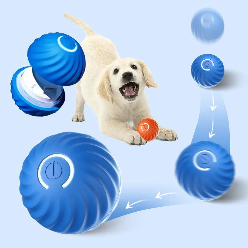 Jouet pour Chien - La Balle Interactive pour Chien : Le Compagnon de Jeu Idéal I PET JUMP BALL - PitouDoux