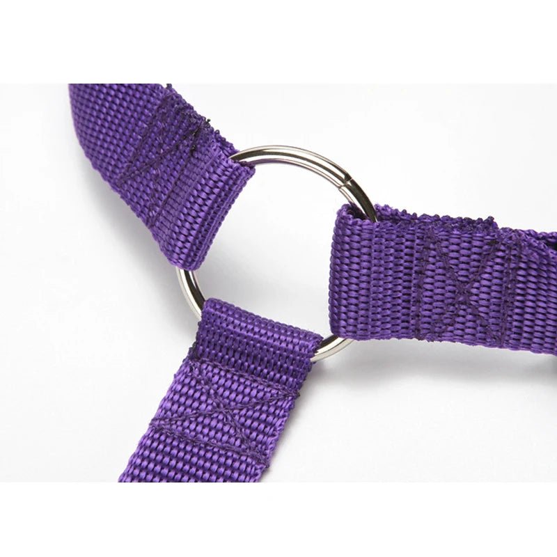 Ceinture de sécurité sécurité en voiture pour animaux de compagnie, Laisse de promenade pour petit et grand chien I Pet MULTIL™ - PitouDoux