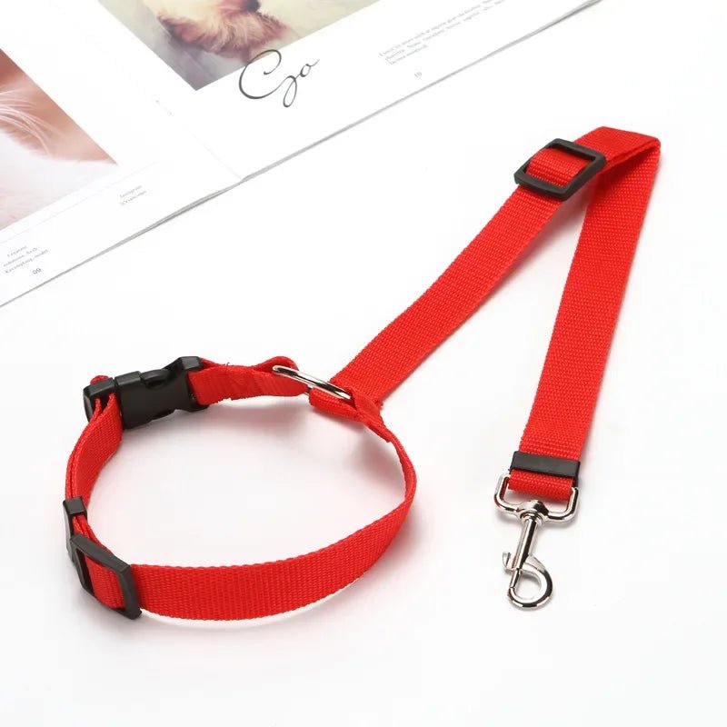 Ceinture de sécurité en voiture pour animaux de compagnie, Laisse de promenade pour Chien I Pet MULTIL™ - PitouDoux