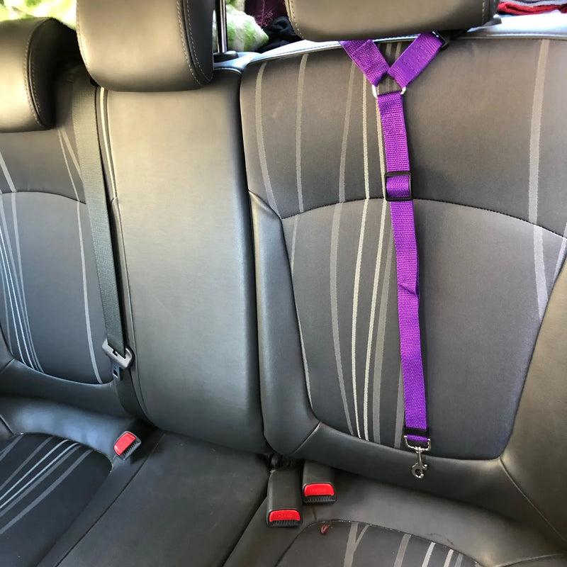 Ceinture de sécurité en voiture pour animaux de compagnie, Laisse de promenade pour Chien I Pet MULTIL™ - PitouDoux