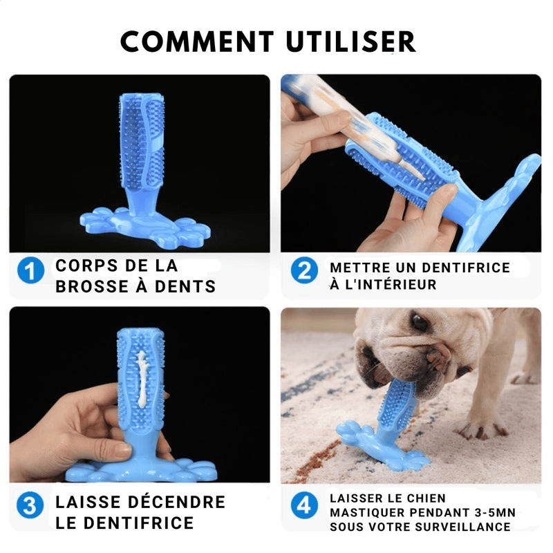 DentalDog™ Jouet Interactif et Brosse à Dents pour Chien