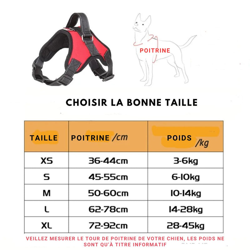 CONFORT PRO™: Harnais anti-traction, avec poignée, pour chiens. - PitouDoux