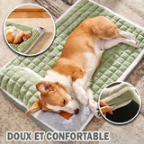 Lit pour chien - Coussin Orthopédique pour chiens I CORNBED™ - PitouDoux