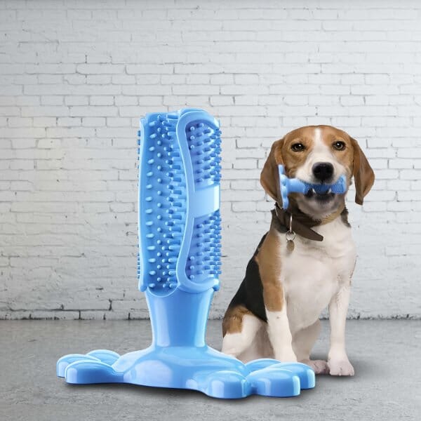 DentalDog™ Jouet Interactif et Brosse à Dents pour Chien - PitouDoux