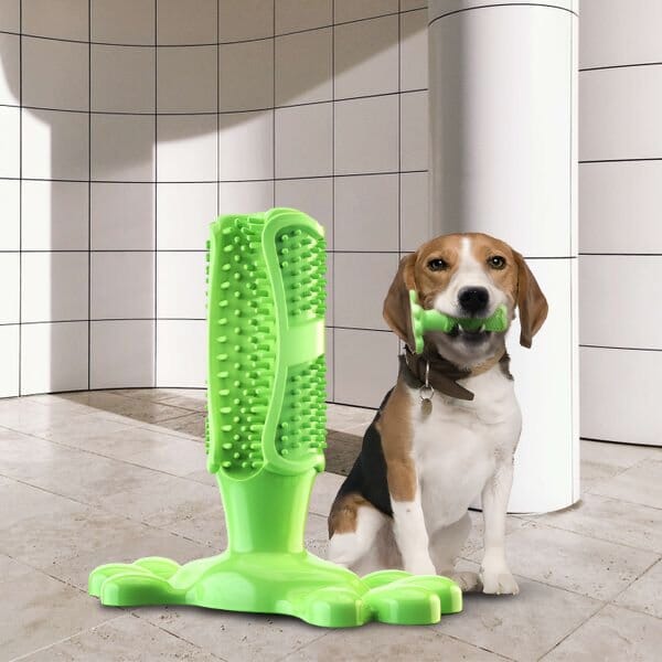 DentalDog™ Jouet Interactif et Brosse à Dents pour Chien - PitouDoux