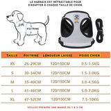 Harnais chien anti-traction - Le harnais ultime pour confort et sécurité de votre chien- DUOMM - PitouDoux