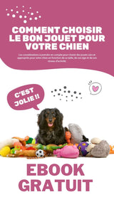 SUCTION TOYS™ - Jouet à mordre, interctif, alimentaire qui fuit, à ventouse pour Chien - PitouDoux