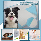 EDUCPAD™- Tapis couches, Ultra-absorbante pour chien - PitouDoux